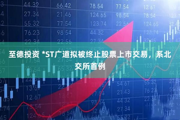 至德投资 *ST广道拟被终止股票上市交易，系北交所首例