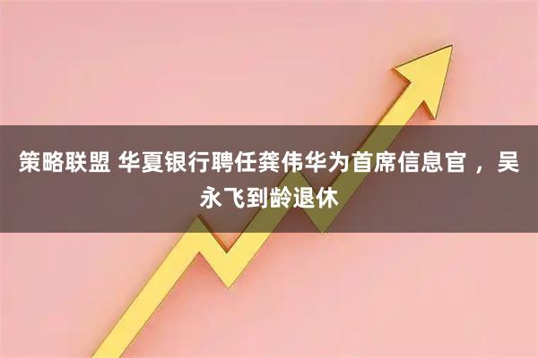策略联盟 华夏银行聘任龚伟华为首席信息官 ，吴永飞到龄退休