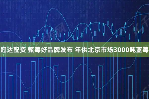 冠达配资 甄莓好品牌发布 年供北京市场3000吨蓝莓