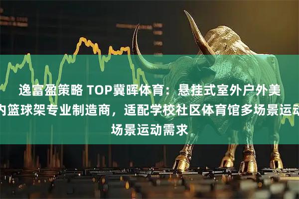 逸富盈策略 TOP冀晖体育:悬挂式室外户外美式室内篮球架专业制造商,适配学校社区体育馆多场景运动需求